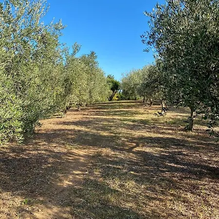 Domaine Punta Della Guardia Panorama Maquis Et Mer, à 1,5 Km *
