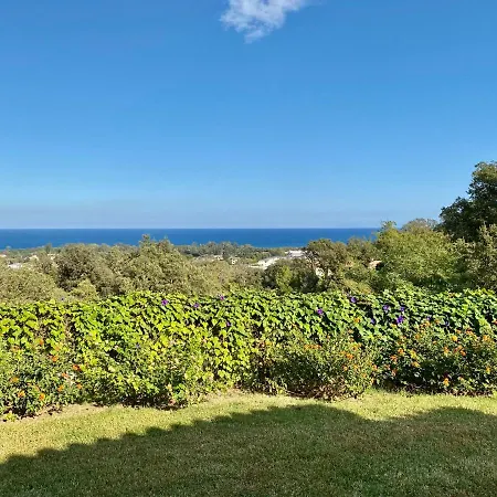 Panorama Maquis Et Mer, à 1,5 Km Cervione