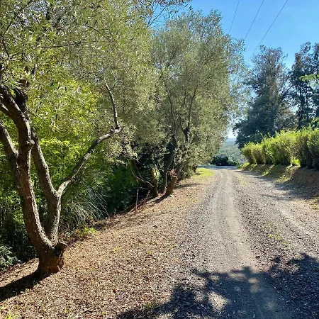 Domaine Punta Della Guardia Panorama Maquis Et Mer, A 1,5 Km * Cervione