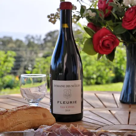 Semesterbostad Domaine Punta Della Guardia Panorama Maquis Et Mer, A 1,5 Km