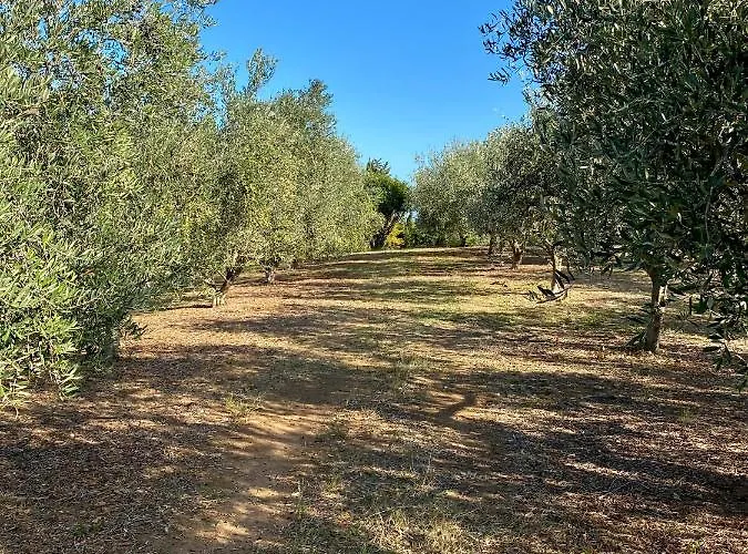 Domaine Punta Della Guardia Panorama Maquis Et Mer, à 1,5 Km *