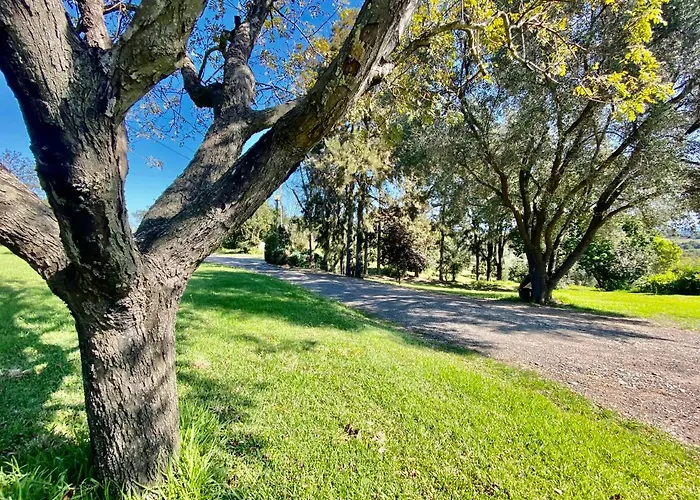 بيت للعطل Domaine Punta Della Guardia Panorama Maquis Et Mer, A 1,5 Km