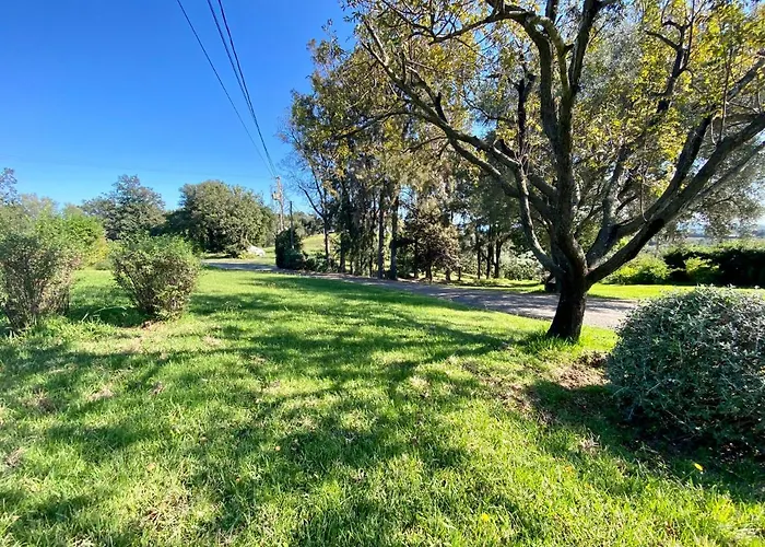 Domaine Punta Della Guardia Panorama Maquis Et Mer, A 1,5 Km *