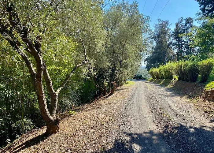Domaine Punta Della Guardia Panorama Maquis Et Mer, A 1,5 Km * سيرفيون