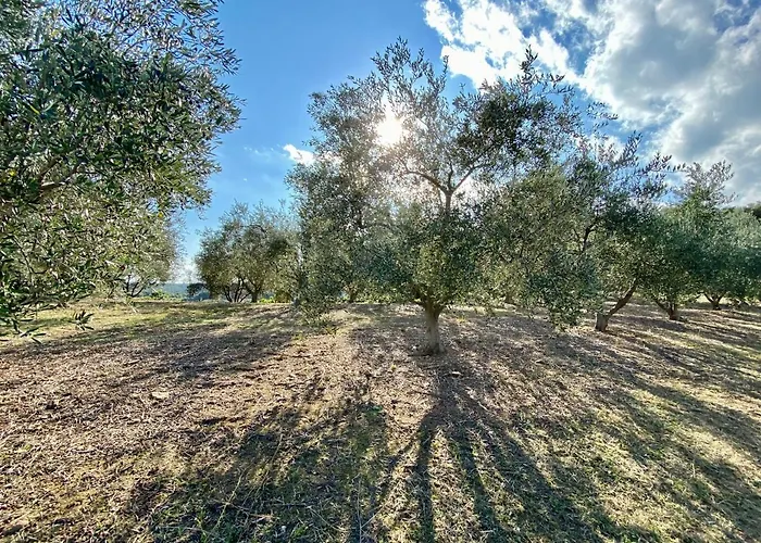 Domaine Punta Della Guardia Panorama Maquis Et Mer, A 1,5 Km بيت للعطل سيرفيون